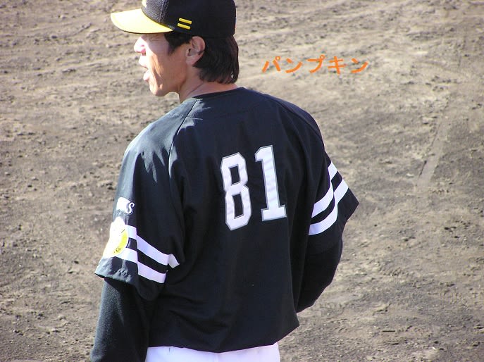 秋山幸二監督、いままで有難う！！ - パンプキンのHAWKSな日々