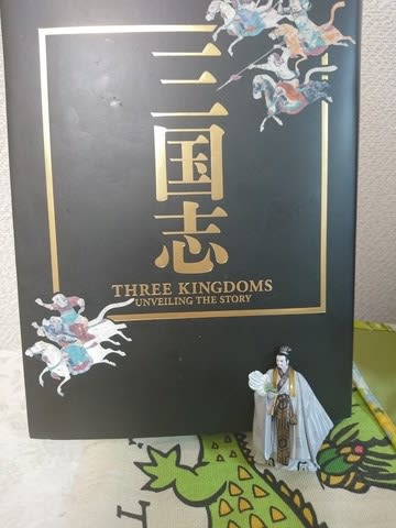✧︎中国お土産シリーズ✧︎ネコさん注意✧︎三国志、歴史好き