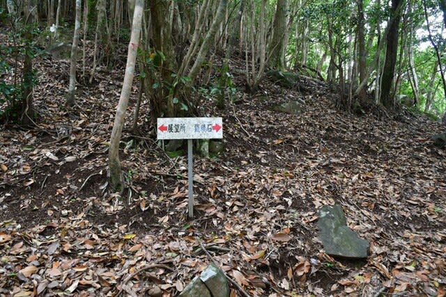 山歩き 八重山の奇岩銭積石 2023/04/28（鹿児島） - 花浄土鹿児島