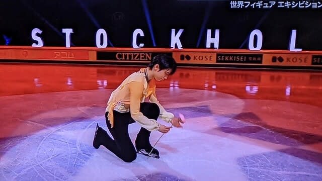 世界フィギュアスケート選手権21 エキシビション メランコリア
