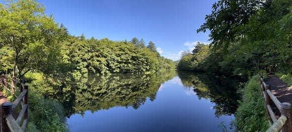 今月の雲場池（8月） - 軽井沢からの通信ときどき3D