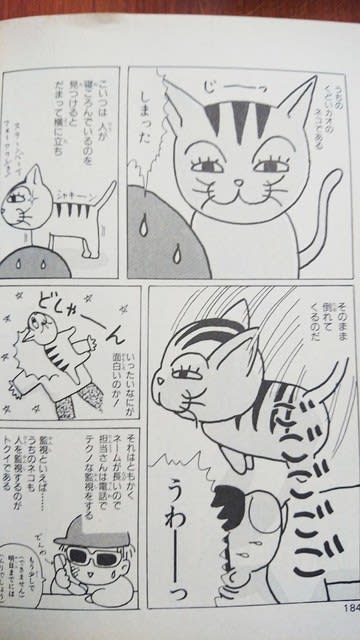魔法陣グルグル／衛藤ヒロユキ - マンガの中のネコ探し／ひのはらねこ