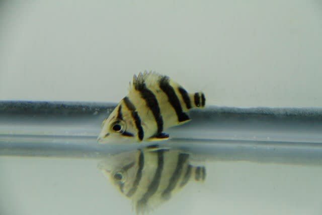20210927_4b5b6d.jpg