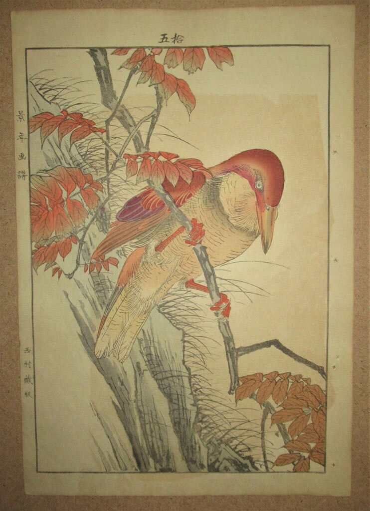 ビッグ割引 翡翠（画譜より） 頂いた作品 今尾景年筆 夜噺骨董談義 - 絵画