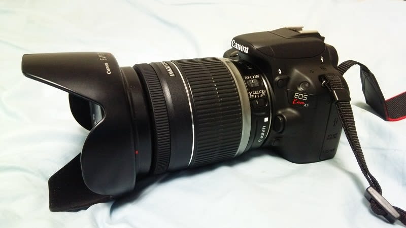 タムロン28-300mm F/3.5-6.3 Di VC PZD(A010)を購入しました タムロン28-300mm F/3.5-6.3 Di VC PZD(A010)を購入しました