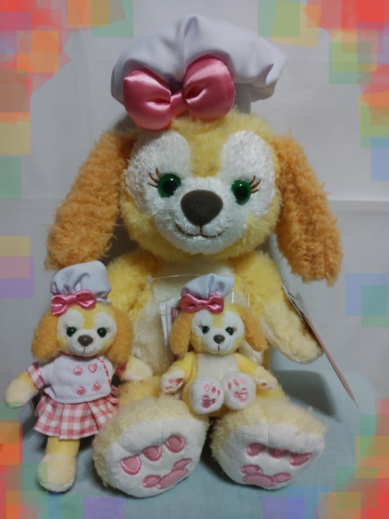 我が家にクッキー・アンちゃんがやってきた❤ - らんちゅう 我が家にクッキー・アンちゃんがやってきた❤ - らんちゅう