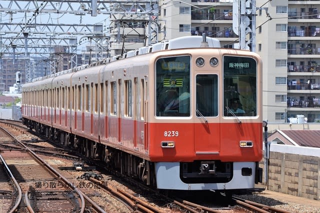 阪神 千船(2011.5.14) 赤胴車 8239F 直通特急 梅田行き