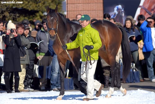 社台スタリオンステーション繋養種牡馬】～2009年度種付料