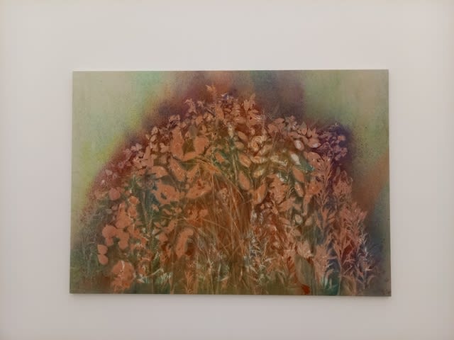 安い割引 結果的に金沢観光・その2、金沢21世紀美術館へ。 - 舞い上がる。 絵画