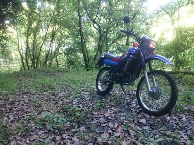 DT50のタンク交換 - 広く浅い趣味の日記 DT50のタンク交換 - 広く浅い趣味の日記