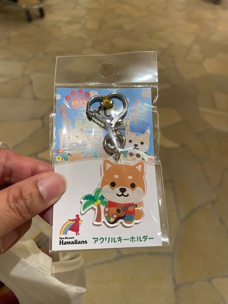 旅するマメしば （福島） - 柴犬元気とほのぼの旅日記