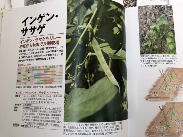 超安い品質 絶版本復活！！改訂『無農薬「自然菜園」で育てる人気野菜 その他