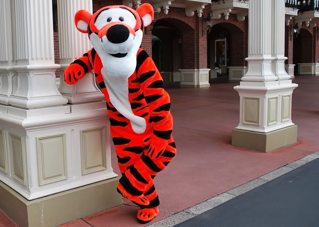 東京 ディズニーリゾート 限定モデル ティガー スカジャン