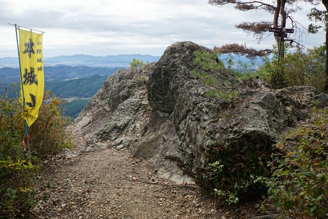 美濃・小野城(本城山城)@岐阜県関市 2024年11月10日 - あみの 美濃・小野城(本城山城)@岐阜県関市 2024年11月10日 - あみの