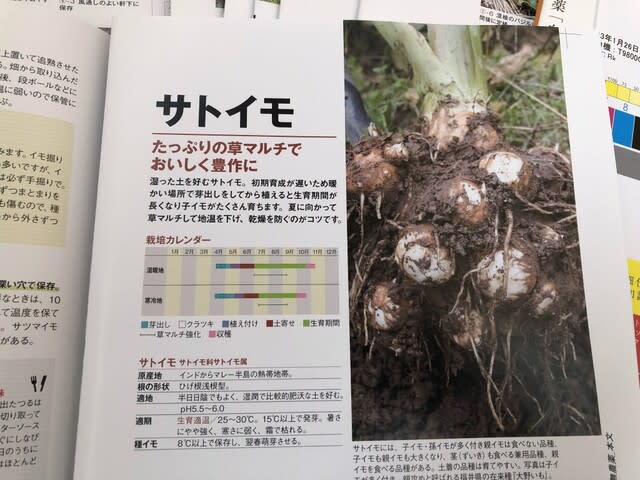 絶版本復活！！改訂『無農薬「自然菜園」で育てる人気野菜