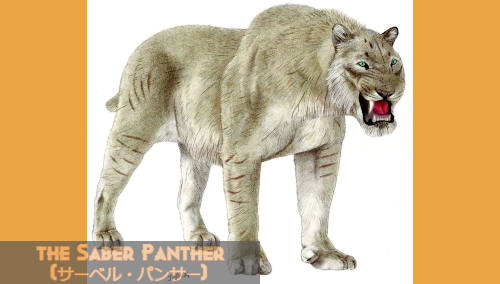 ☆暫定 ♢大型ネコ科動物 Big Cats♢ サイズランク☆ 2022年改正