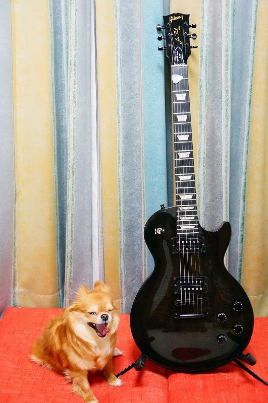 94 Gibson Les Paul Studio Limited Edition 13/50 - ヒデェVH 94 Gibson Les Paul Studio Limited Edition 13/50 - ヒデェVH