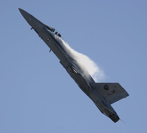 アドバーザリー部隊のアグレッサーF/A-18A ホーネット