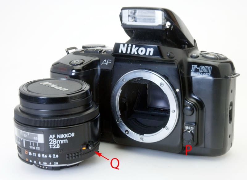 Nikon F-601 QUARTZ DATE その3 - ぽせいどんの今日の一枚 +
