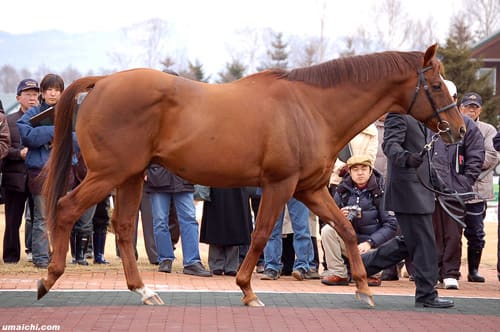 JBBA種牡馬の2007年種付け頭数がまとまる～ロックオブ
