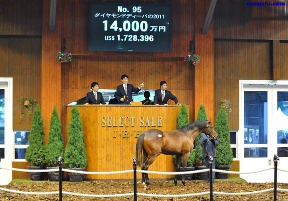 宅配 写真と映像でみる【セレクトセール2012(第1日目、1歳馬)】(高額 スポーツ・フィットネス