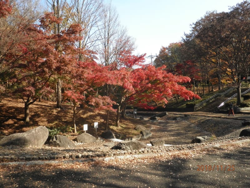 小田急唐木田駅から多摩よこやまの道を歩き 一本杉公園 豊ヶ丘南公園から多摩センター駅までウォーキングしました の写真一覧 Ch4340 フォトチャンネル Goo ブログ 小田急唐木田駅から多摩よこやまの道を歩き 一本杉公園 豊ヶ丘南公園から多摩センター駅までウォーキングしました の写真一覧 Ch4340 フォトチャンネル Goo ブログ