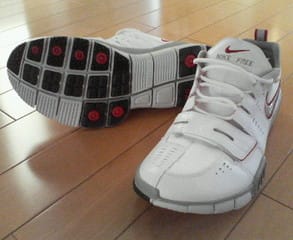 Free trainer 7.0 2006 sales