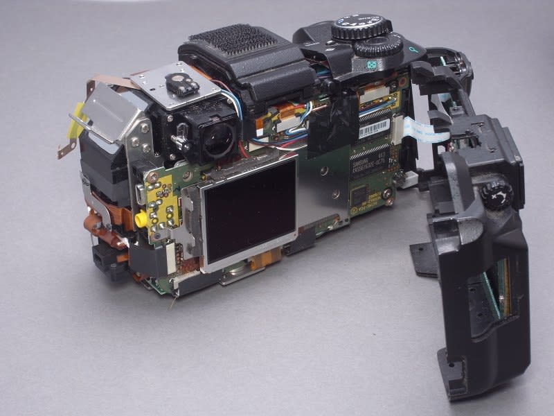 OLYMPUS E-300 - 糸崎公朗ブログ1・路上ネイチャー協会 OLYMPUS E-300 - 糸崎公朗ブログ1・路上ネイチャー協会