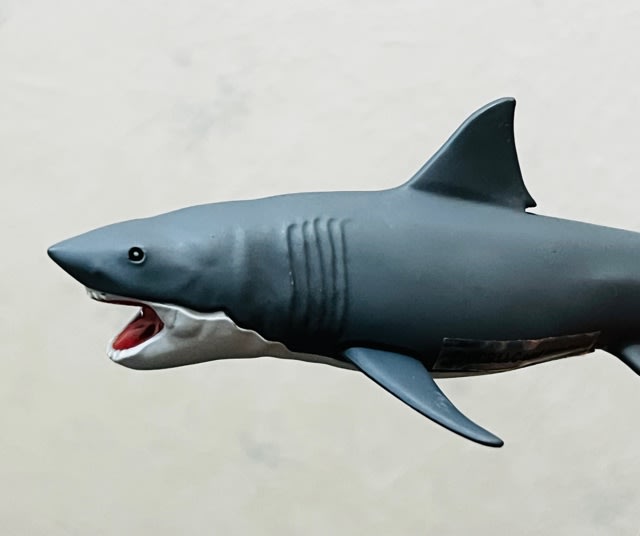 JAWS - MY COLLECTIONS