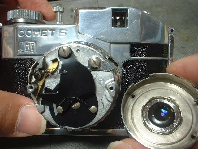 イタリアの洒落者ベンチーニ・コメットS - 今なにしてる (トミーの