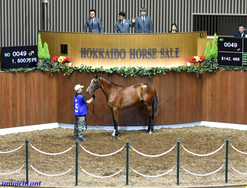 JRA競走に勝ったセール出身馬紹介(2020/5/23-24､デアリング