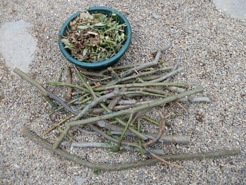 バラの断捨離 - 植物大好き♫ 出会い・ときめき・癒し Ⅰ