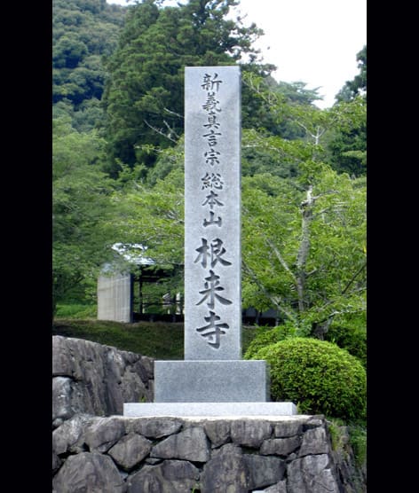 根来寺は紀州の大寺。強力な僧兵がいたそうですよ。 - 土曜日は 根来寺は紀州の大寺。強力な僧兵がいたそうですよ。 - 土曜日は