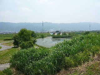 【公式ショップ】 東大阪市の池島と八尾市の福万寺遺跡とは！そのⅠ 近畿地方の - 文化、民俗