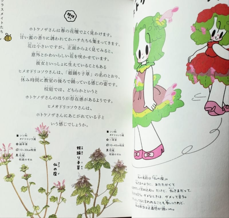 雑草図鑑 - 花の細密画 山根悦子ボタニカルアート