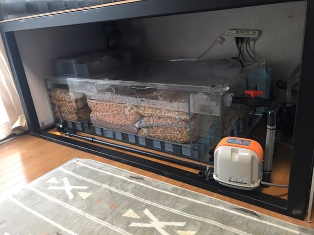 カンテツ　オーバーフロー水槽 大型水槽】カンテツ製1700✕900✕800オーバーフロー水槽を紹介