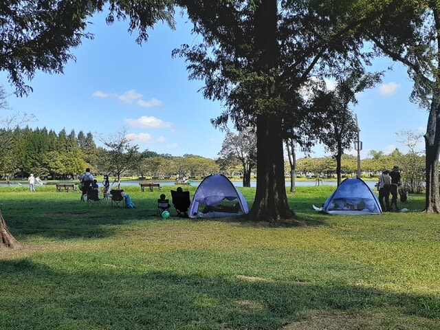 水元公園小川脇と林間のピクニック - 荒川三歩