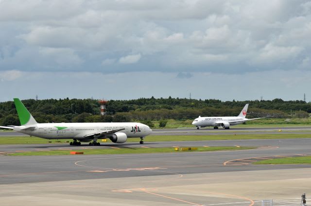 JALの777－300 緑アークのエコジェット (成田空港 9月