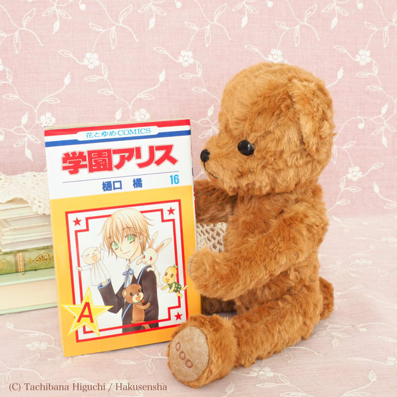 学園アリス 欲する 樋口橘 付録 グッズ 非売品 バッグ PS2 DS 学園アリス 欲する 樋口橘 付録 グッズ 非売品 バッグ PS2 DS