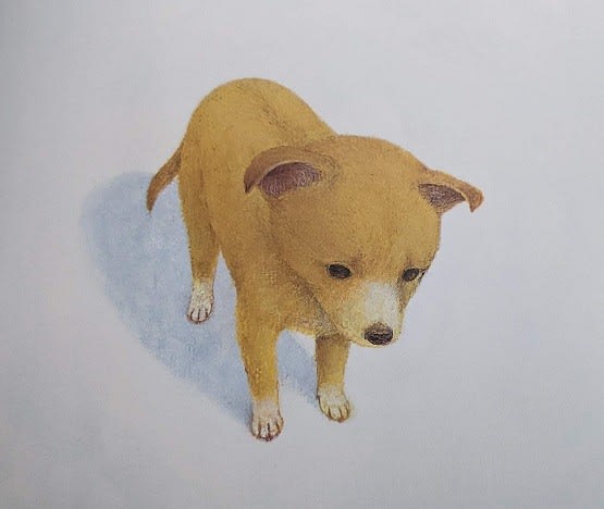 絵本『小さな犬』 町田尚子／著 白泉社 - メランコリア