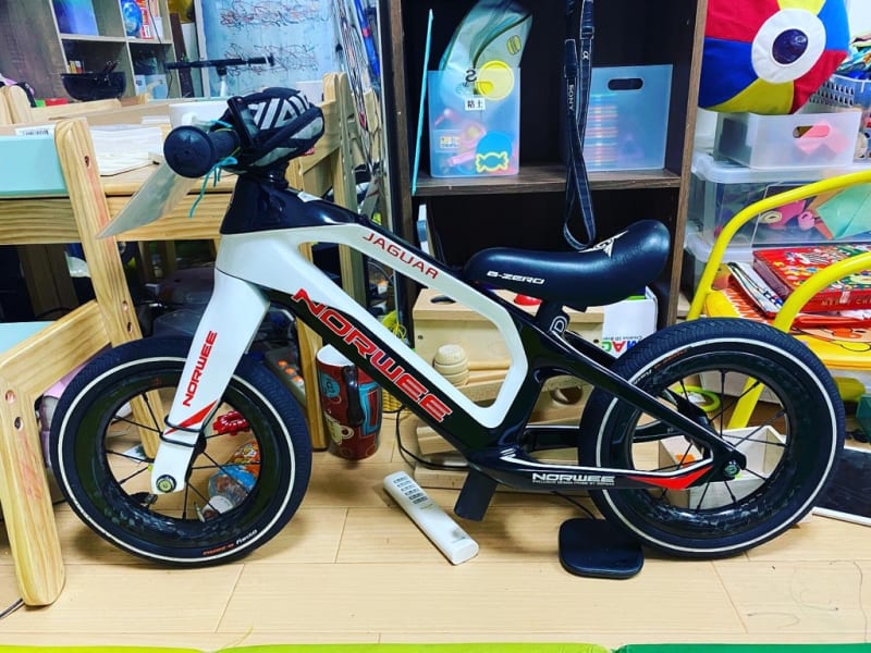 数量は多 NORWEE ストライダー かみあっ カーボンフレーム 自転車本体