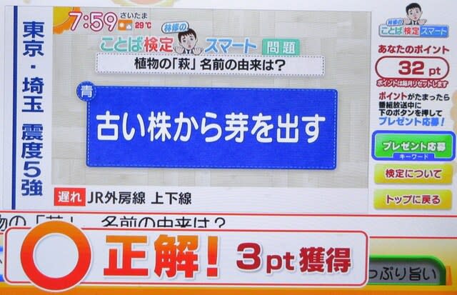 令和３年10月8日 林先生の ことば検定スマート 独り居の充実ライフを求めて