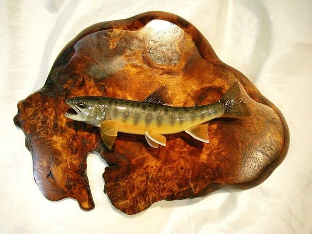 【楽天カード分割】 オショロコマ - 魚の剥製制作販売注文 一心房LOG アンティーク雑貨