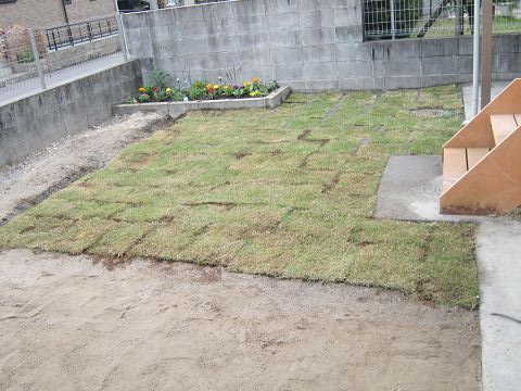 DIYで芝生の張り替えに挑戦！15坪の芝張りに掛かった費用は！？