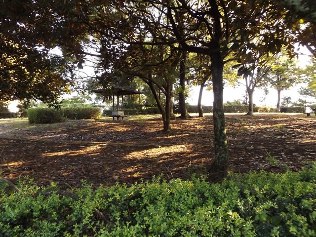 横隈山遺跡公園 街道を歩く