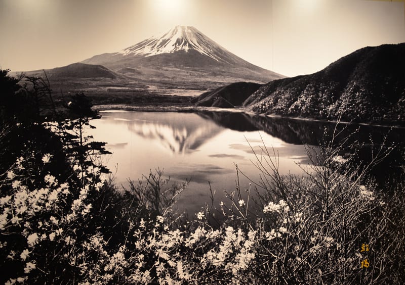 忍野の川からの富士山と「岡田紅陽写真美術館」にて - 気まぐれ 忍野の川からの富士山と「岡田紅陽写真美術館」にて - 気まぐれ