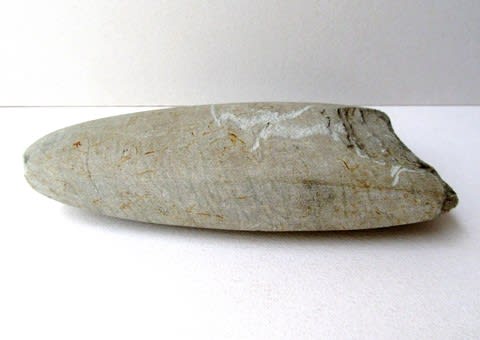 縄文時代の磨製石斧 - お気に入り いろいろ