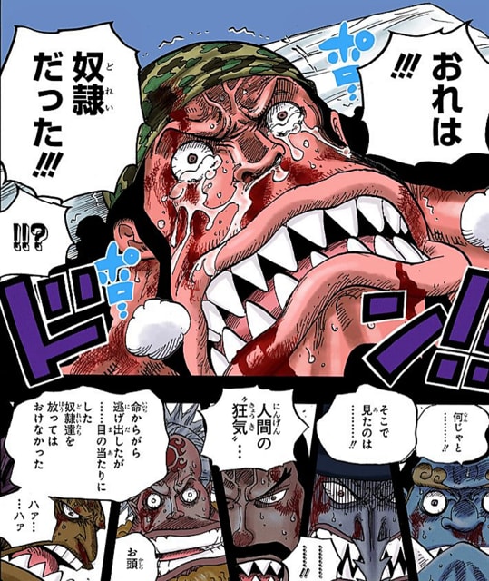 ワンピース 奴隷解放 だれ？