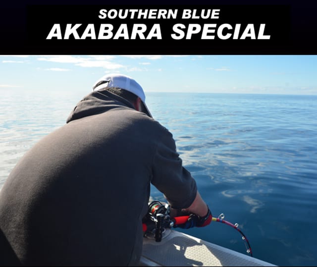 Mc Works Southern blue SB 516SS Akabara Special jigging Rod Mc Works Southern blue SB 516SS Akabara Special jigging Rod