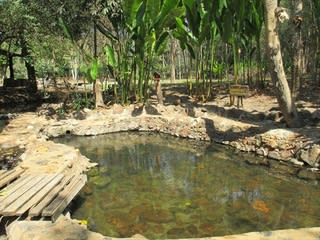 タイ チェンマイ県チェンダオ郡 ポーンアーン温泉 - 温泉逍遥